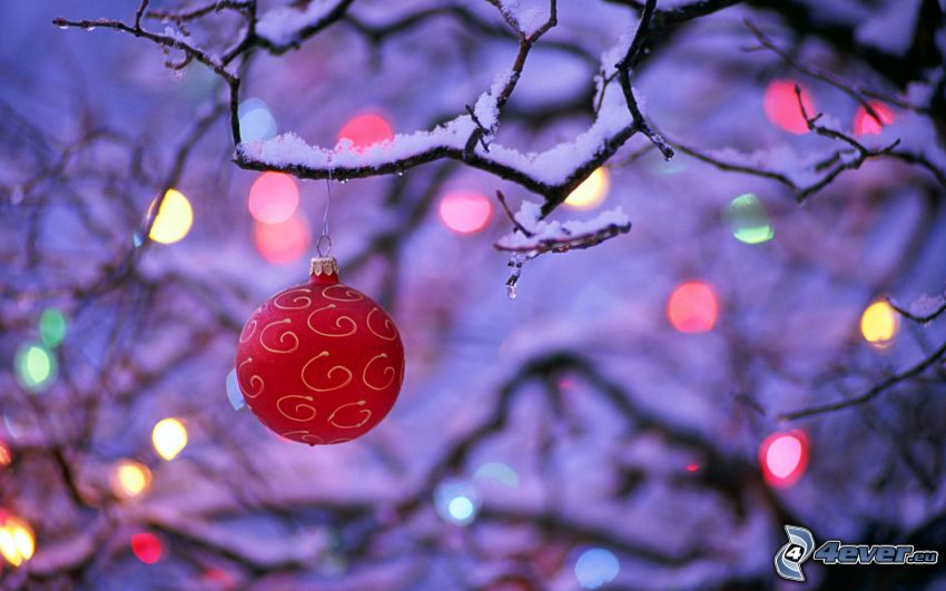 vianočná guľa, farebné svetlá, zasnežený konár