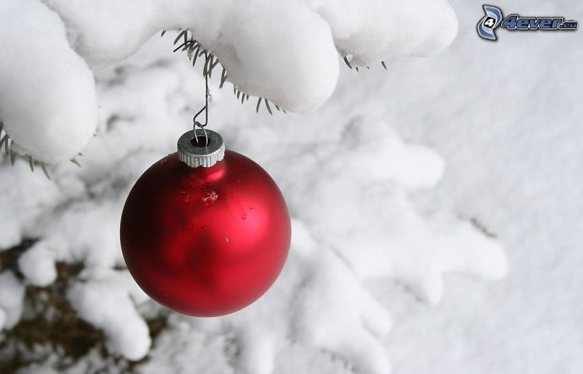 vianočná guľa, sneh, ihličnatá vetvička