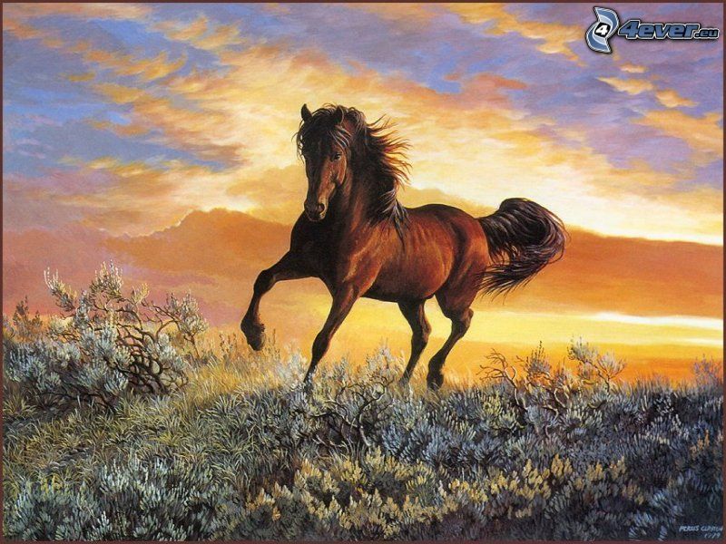 bežiaci kôň, žrebec, krík, oblaky