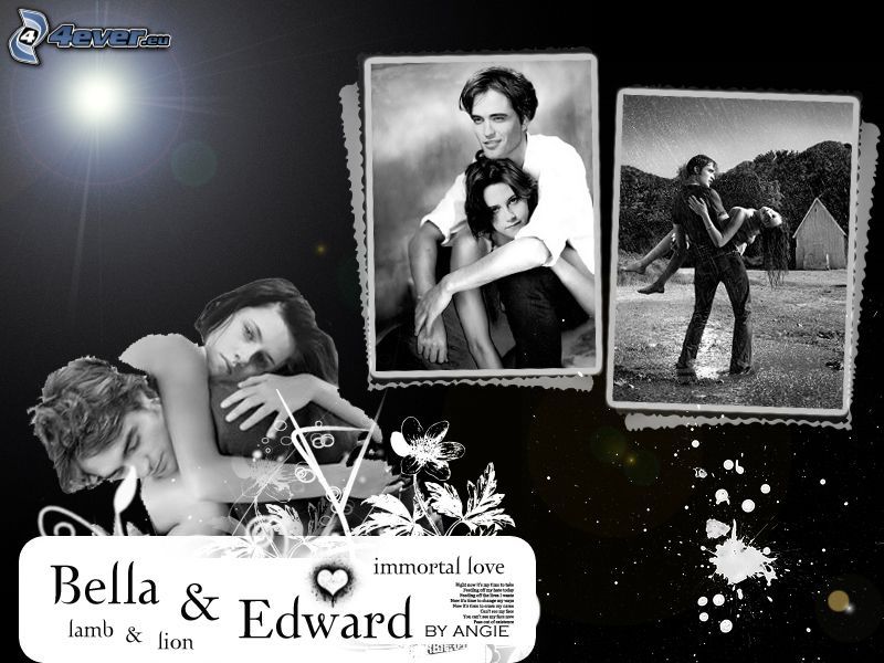 Bella & Edward, Twilight
