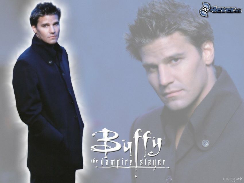 Buffy - premožiteľka upírov, David Boreanaz
