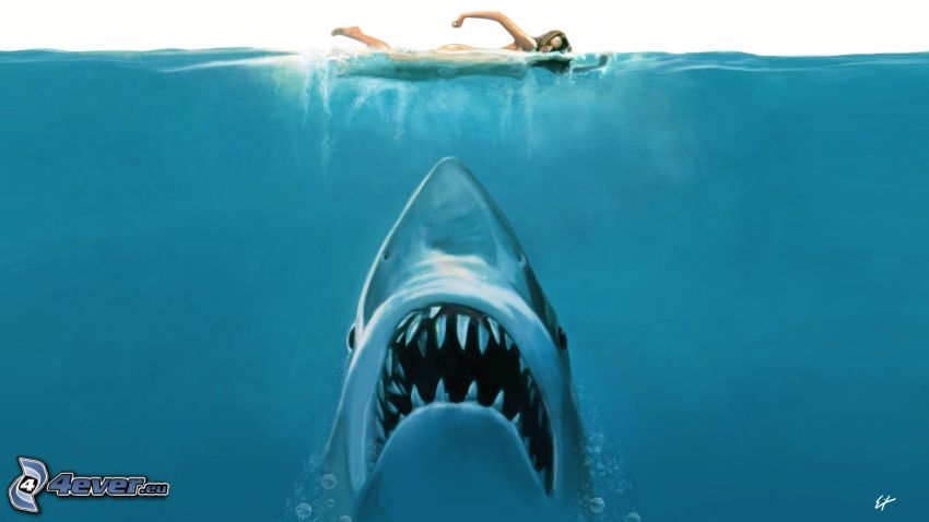 Jaws, plávanie, žena, žralok
