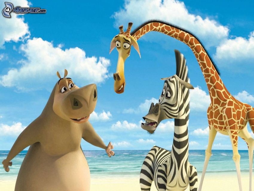 Madagaskar, hroch, zebra z madagaskaru, žirafa z madagaskaru