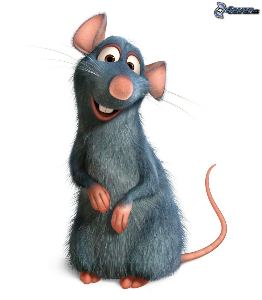 Remi, myš, potkan
