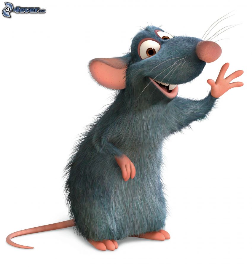 Remi, Ratatouille, myš, kuchár