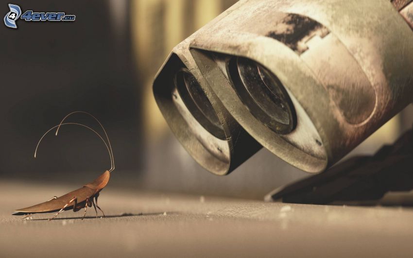 WALL·E, chrobák