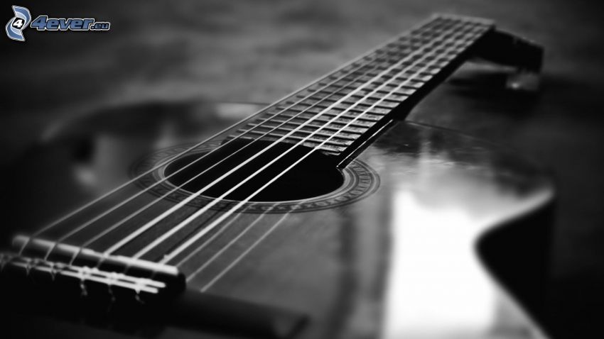gitara, struny, čiernobiela fotka