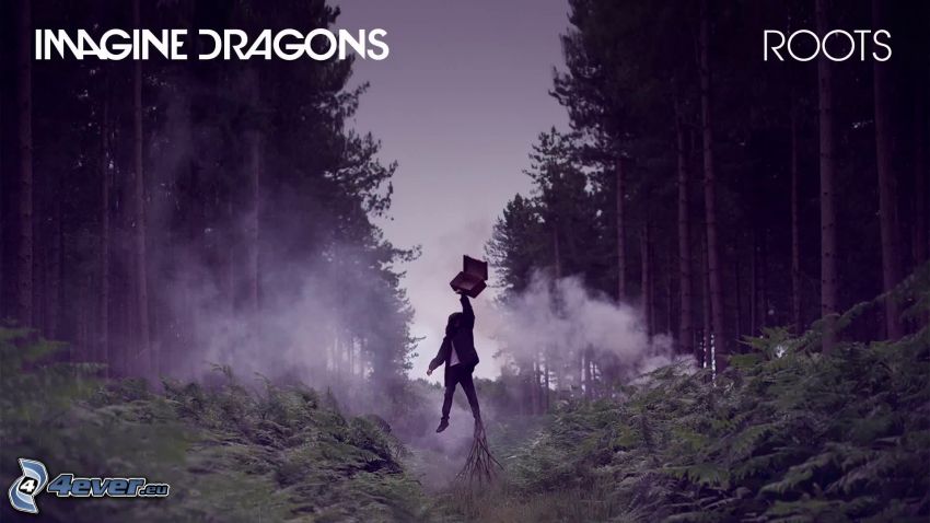 Imagine Dragons, muž, výskok, les