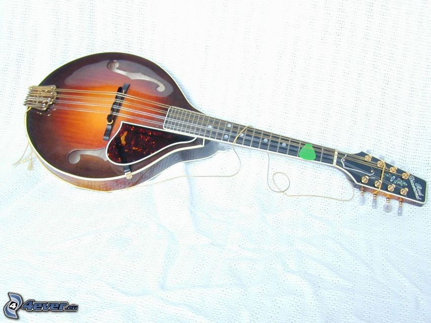 mandolína