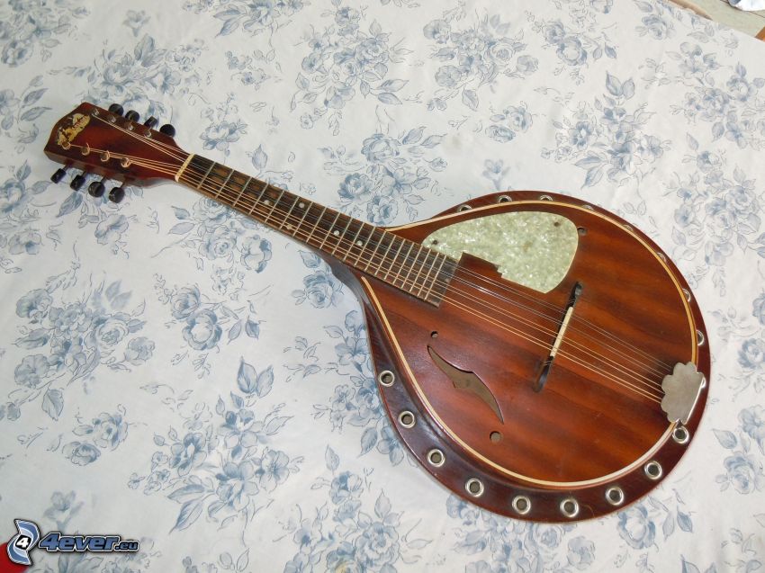 mandolína