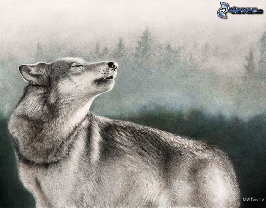 kreslený vlk, zavýjanie