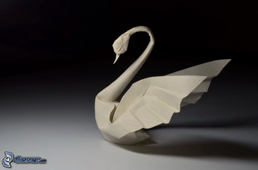 labuť, origami