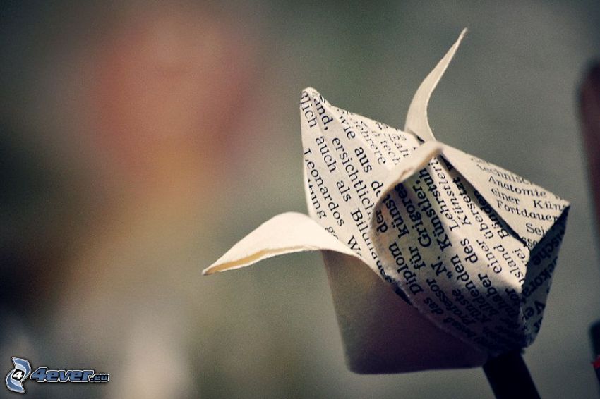 origami, ruža