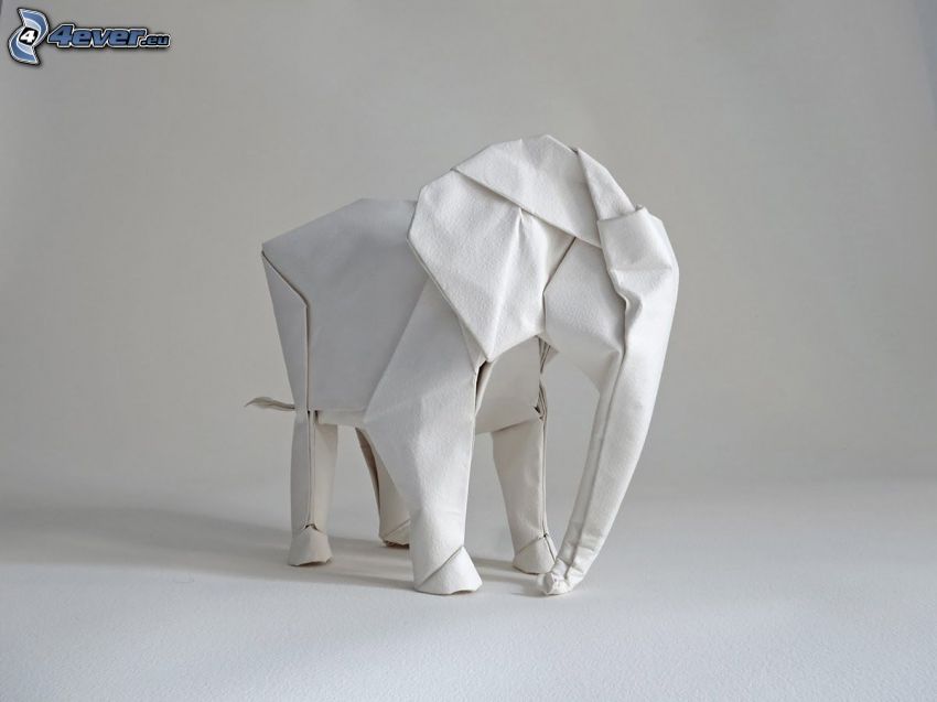 origami, slon