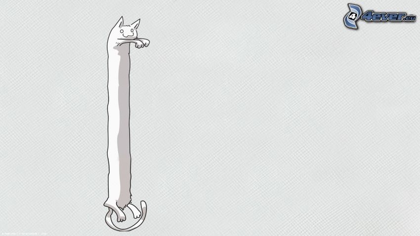 dlhá mačka