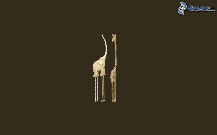 porovnanie, slon, žirafa