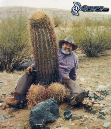 kaktus, chlap, púšť, penis
