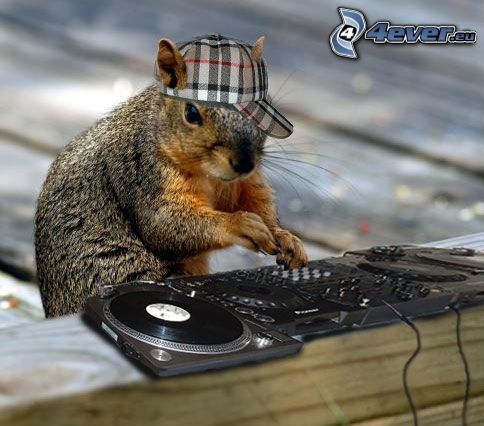 DJ, veverička, šiltovka, DJ pult