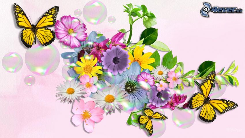 motýle, kreslené kvety