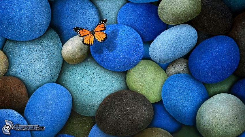 motýľ, kamene