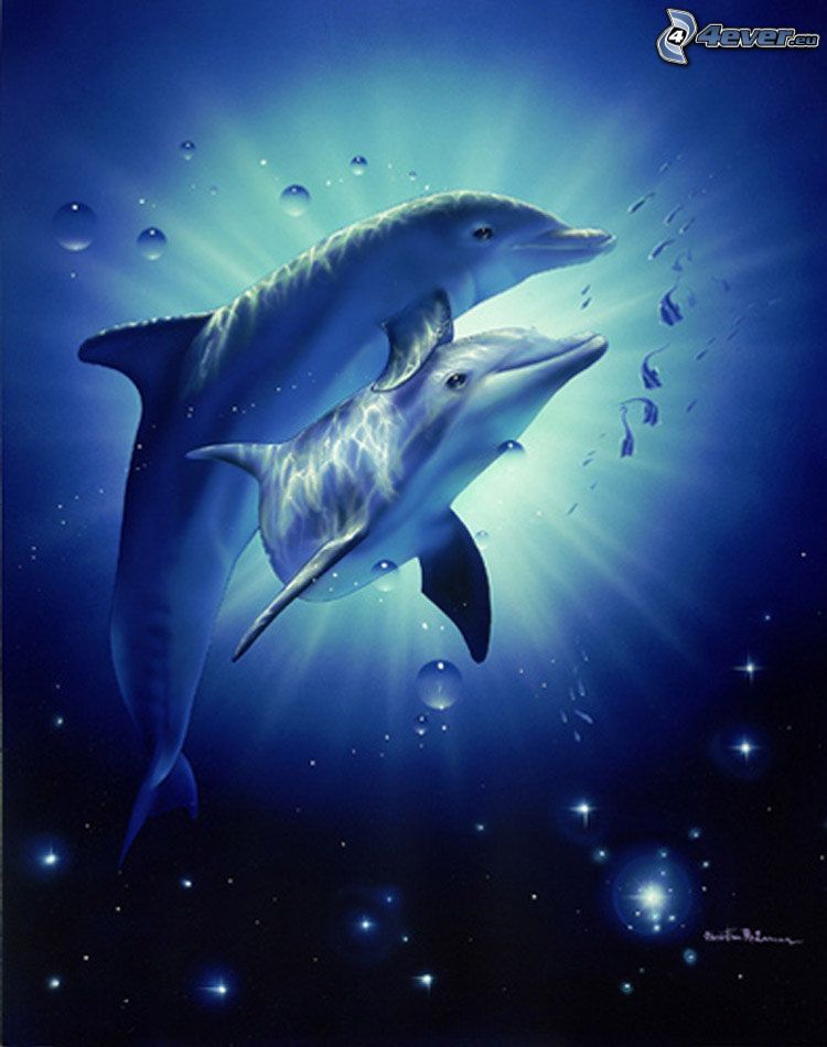 delfíny, láska, voda
