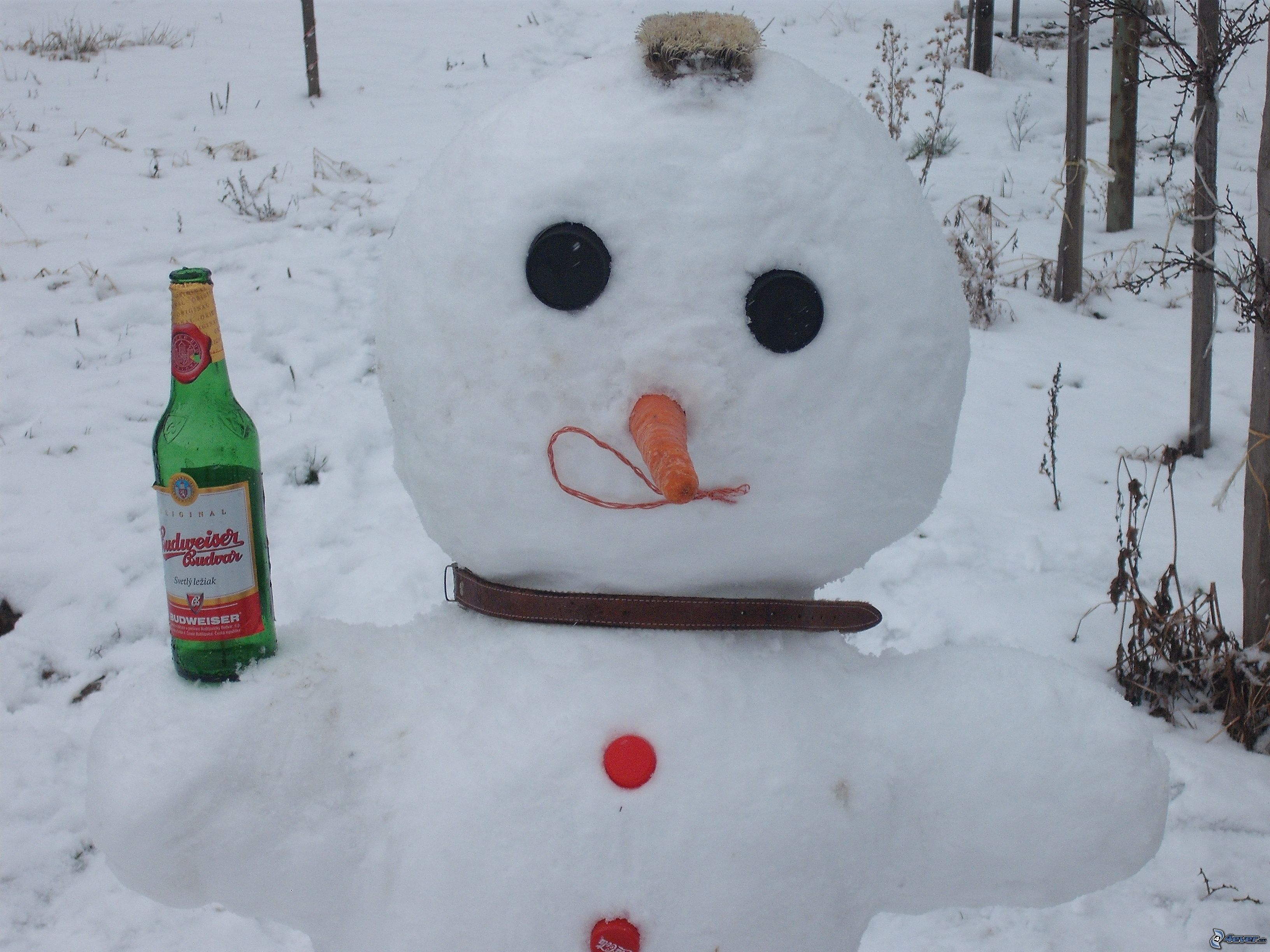 Снеговик с пивом
