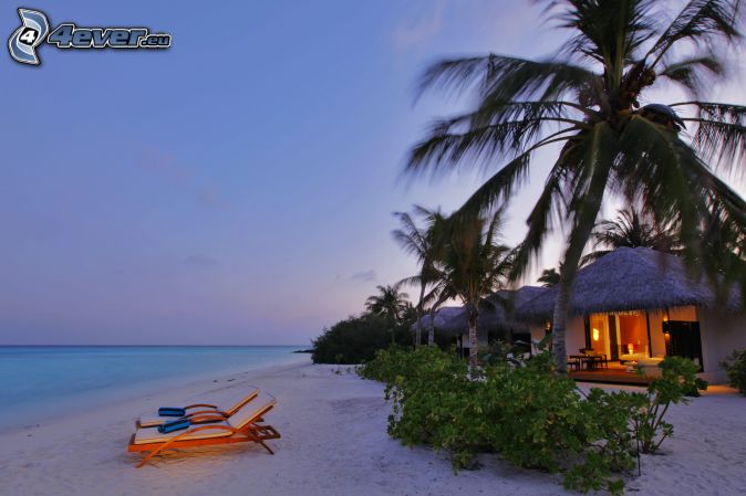 http://4everstatic.com/pictures/674xX/nature/sea-and-coasts/maldives,-beach-after-sunset,-sandy-beach,-lounger,-house,-palm-trees-219004.jpg