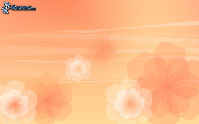 Abstract flowers, orange background