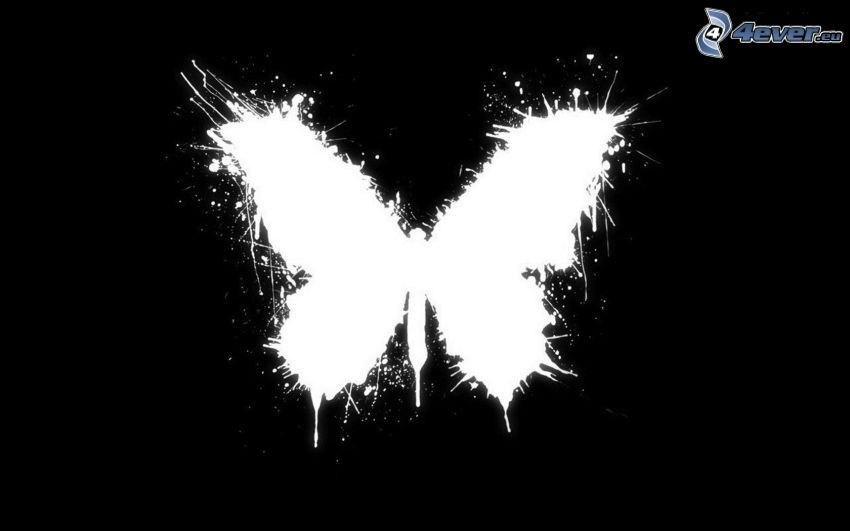 butterfly, stain, black and white