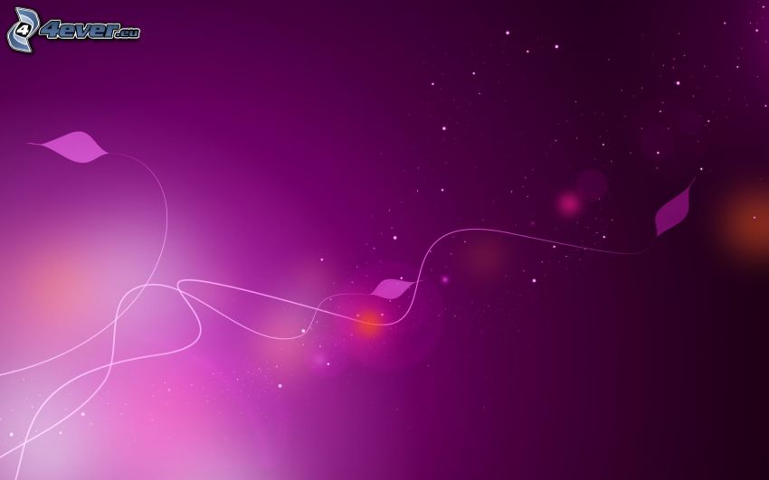 purple background, lines, abstract leaves