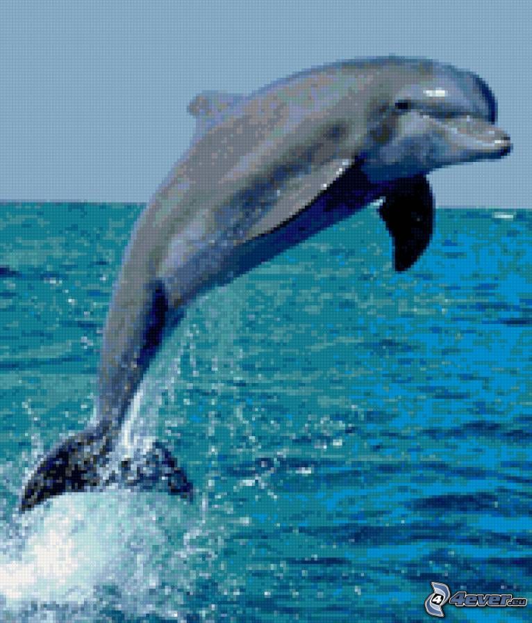 dolphin, jump, mosaic