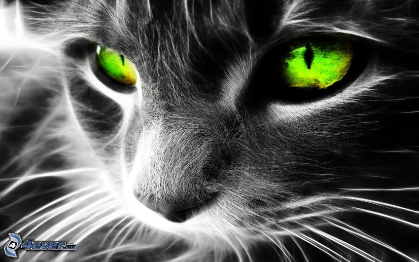 fractal cat, digital art, green eyes