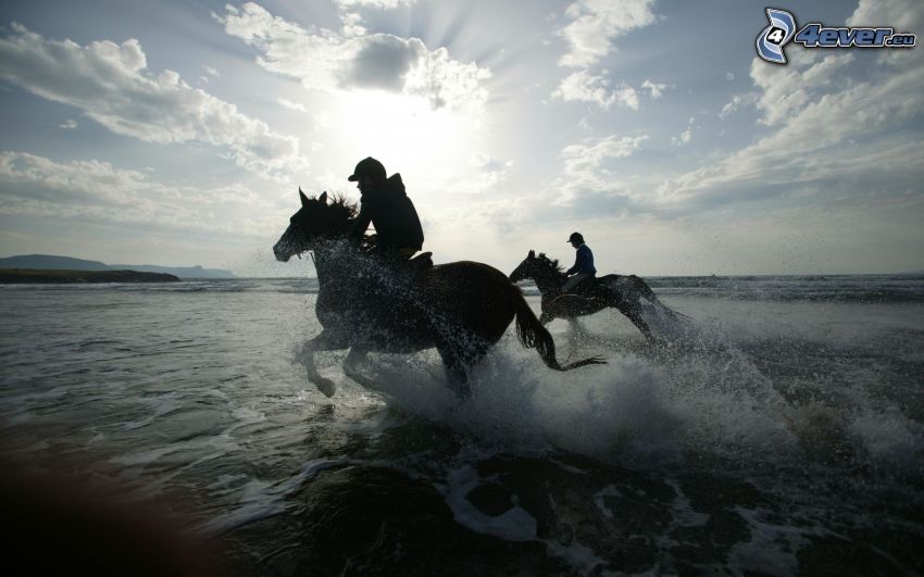 horsemen, water, silhouette