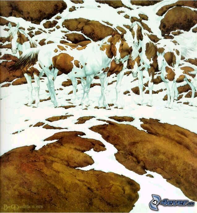 spotted horses, camouflage, snow, rocks