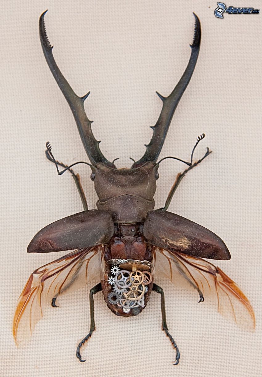 mechanical animal, stag-beetle