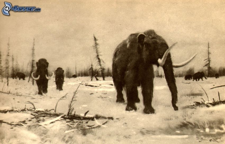 mammoths, sepia