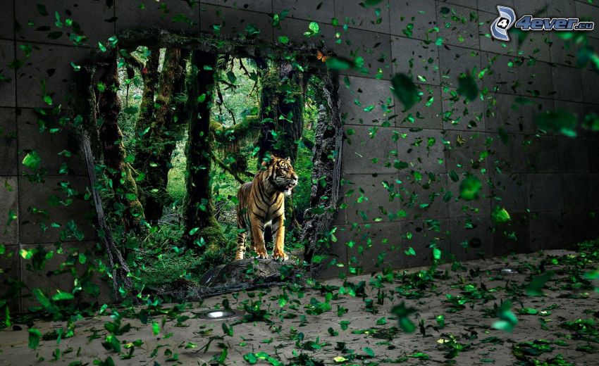 tiger, wall, hole, green leaves