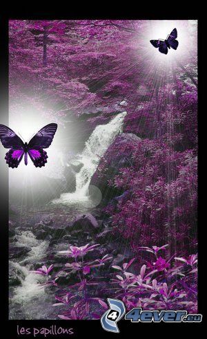 butterflies, purple leaves, forest
