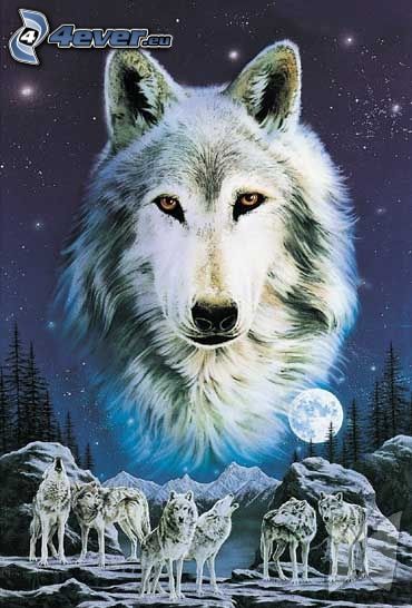 cartoon wolf, wolves, moon, trees, rocks