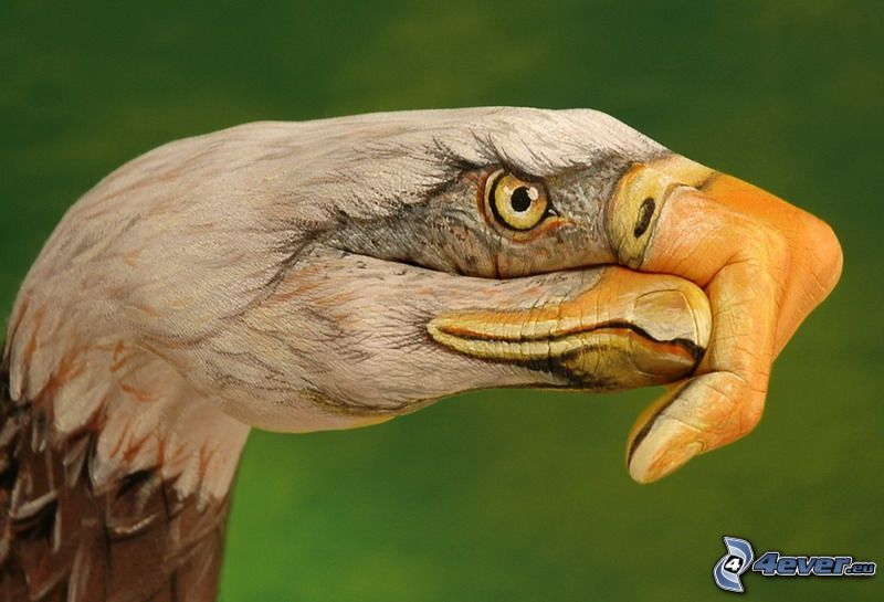 eagle, hand, bodypainting