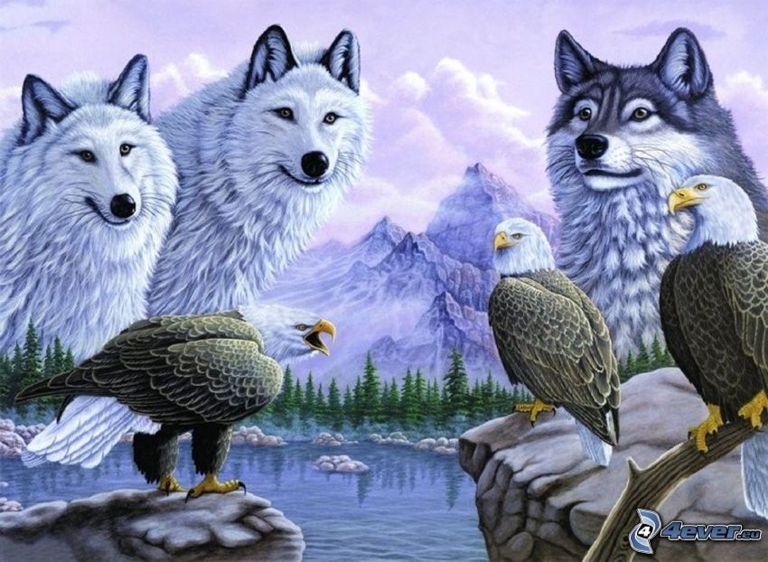 mountains, white wolves, eagles, lake