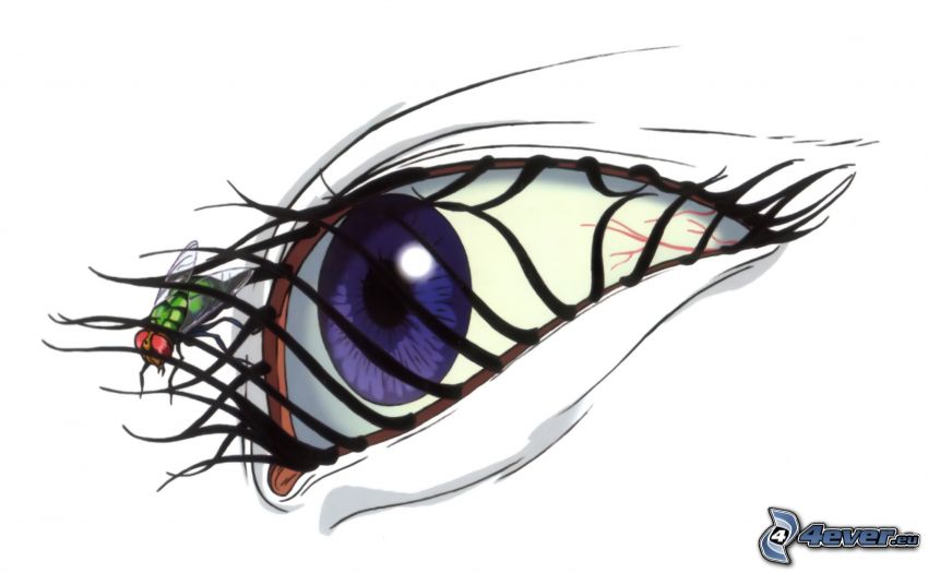 Æon Flux, purple eye, fly