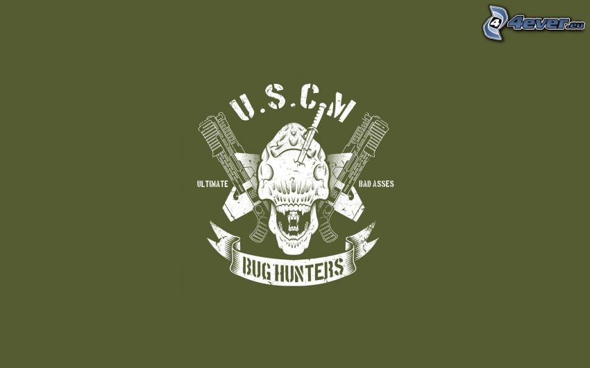 Bug Hunters, logo