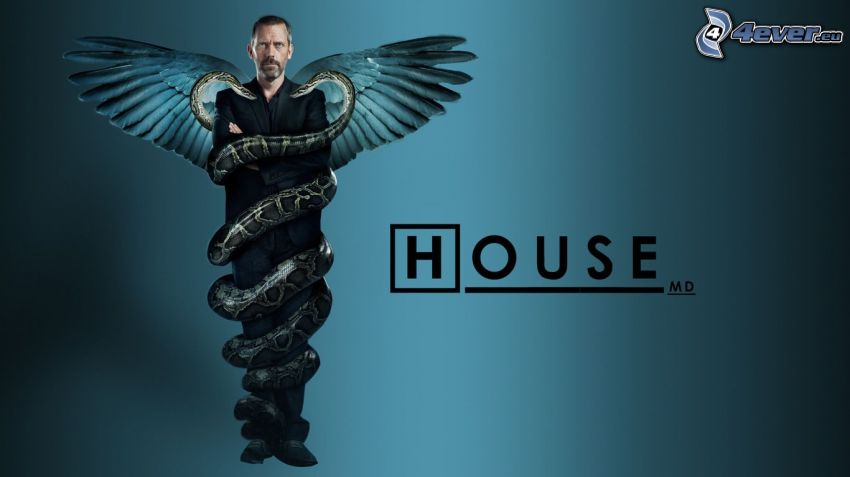 Dr. House, wings, snake