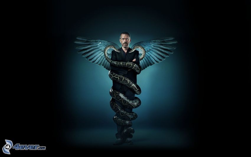 Dr. House, wings