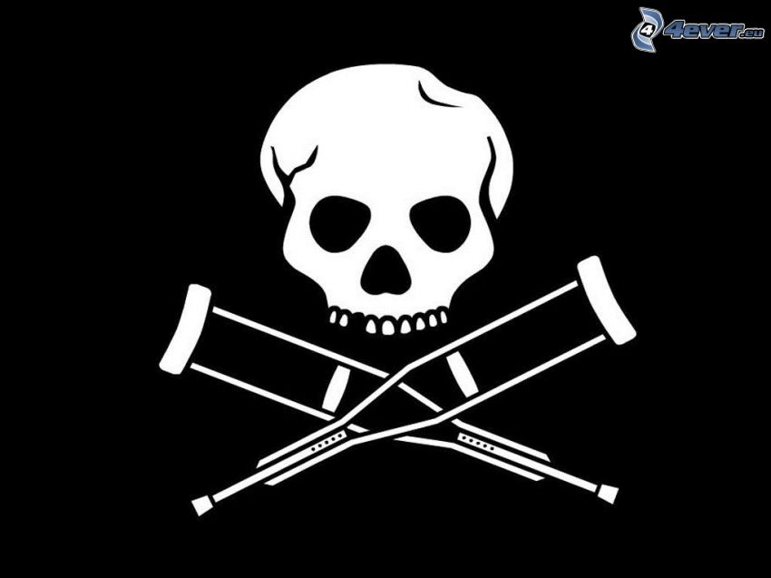 jackass, skull, skeleton