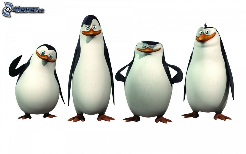 pinguins from Madagascar