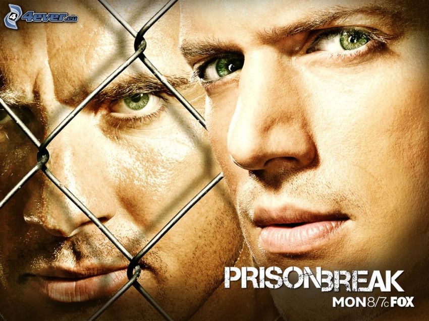 Prison Break, Wentworth Miller, series