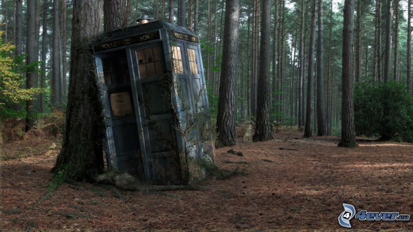 telephone booth, forest