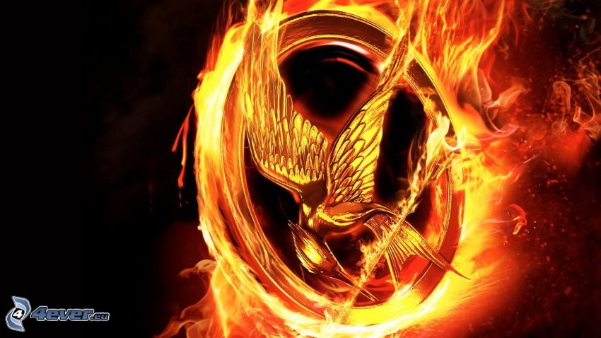 The Hunger Games, fiery bird